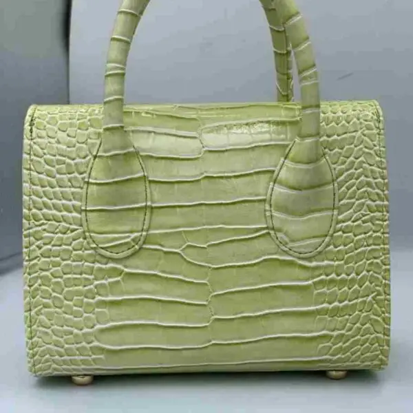 Elegant Women Handbag