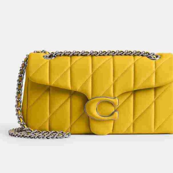 Chain Handbag for Ladies